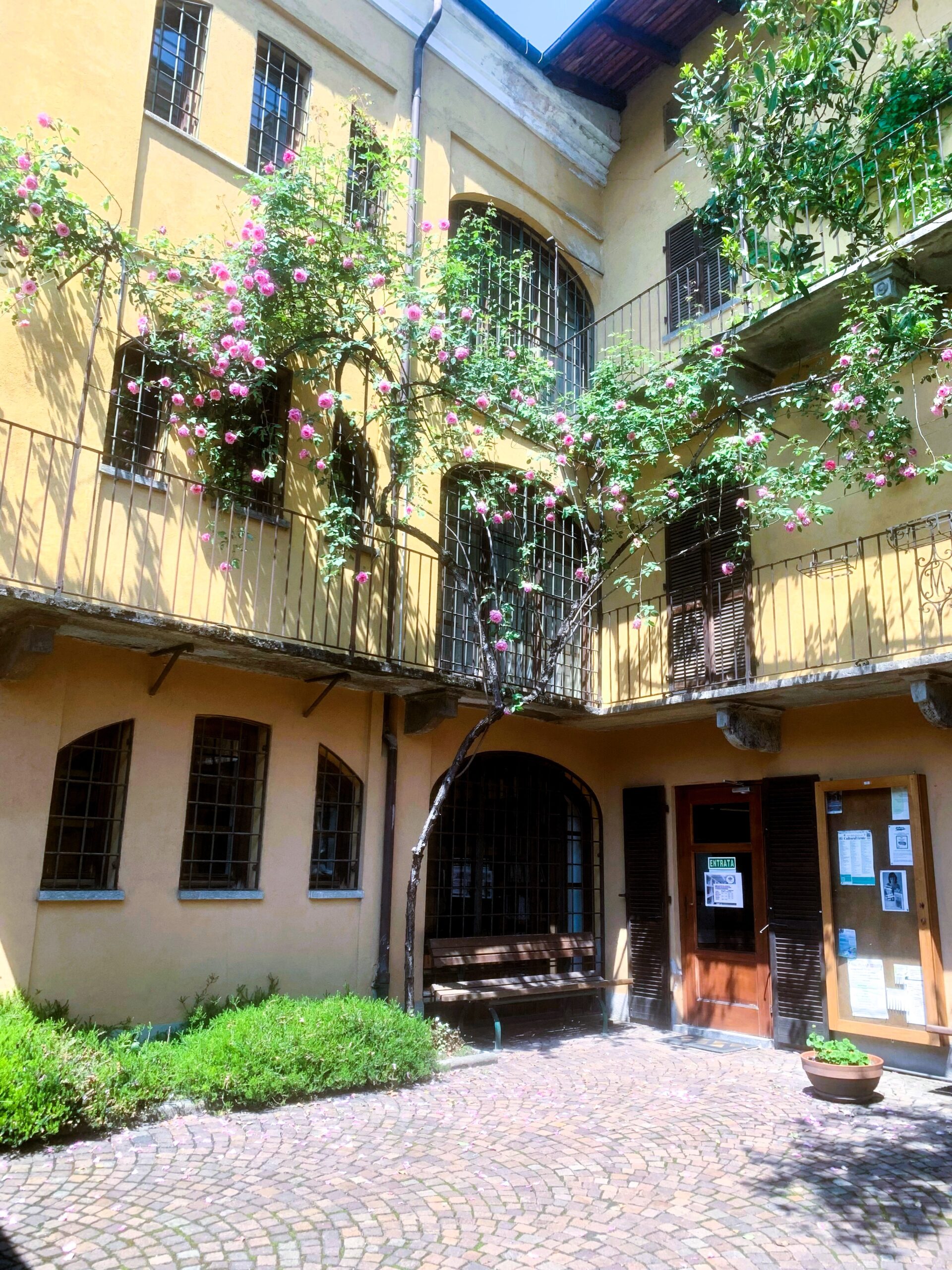 Cortile